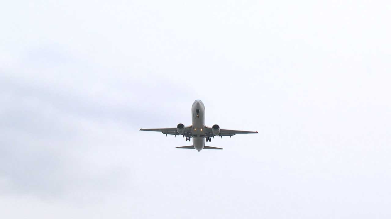 사우디 출발 일본 전세기에 한국인 가족 12명 탑승