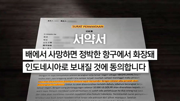 [뉴스인사이트] 태평양에 수장된 인권 "바다에 버려지다"