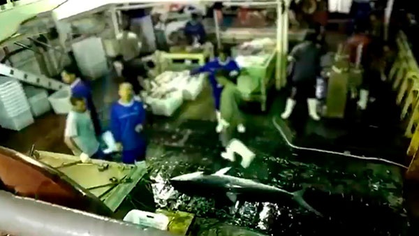 [뉴스인사이트] 태평양에 수장된 인권 "바다에 버려지다"