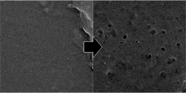 [뉴스인사이트] "바닷속 거북이를 살려라"…플라스틱 분해 기술 국내연구진이 찾았다
