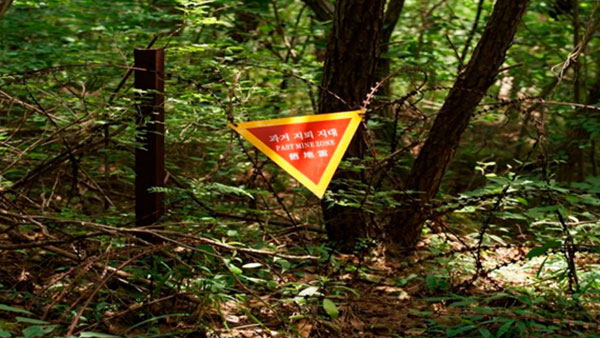 [뉴스인사이트] 지뢰 제거에 500년…민간 참여·첨단 기술로 빠르게