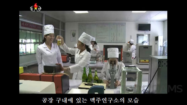 [평양 핫라인] 북한TV가 소개하는 대동강맥주 이야기