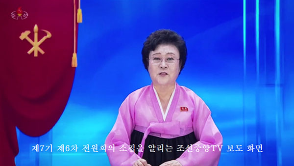 [평양 핫라인] 전원회의에서 장마복구까지 8월 셋째주 북한TV