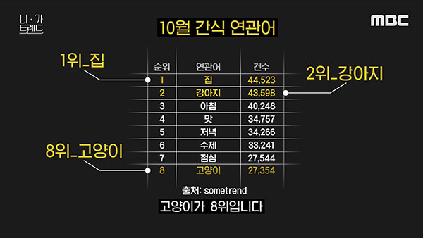 [니가트렌드] 동물이든 식물이든 상관없어…‘내게 소중하면 평생을 함께‘