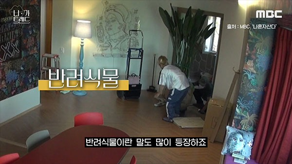 [니가트렌드] 동물이든 식물이든 상관없어…‘내게 소중하면 평생을 함께‘