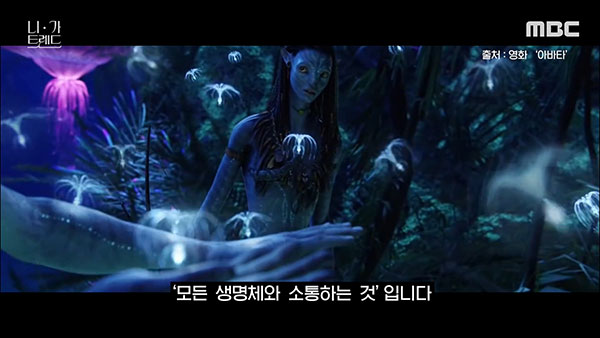 [니가트렌드] 동물이든 식물이든 상관없어…‘내게 소중하면 평생을 함께‘