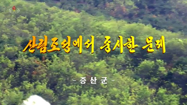 [평양 핫라인] '임업법' 제정한 북한, 산림복구 사업 강조