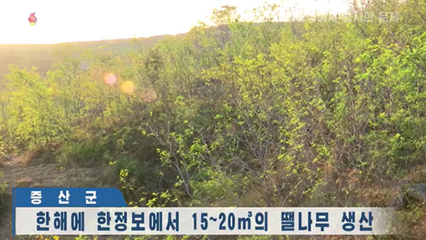 [평양 핫라인] '임업법' 제정한 북한, 산림복구 사업 강조