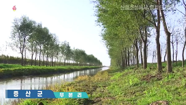 [평양 핫라인] '임업법' 제정한 북한, 산림복구 사업 강조