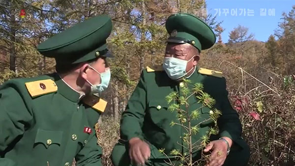 [평양 핫라인] '임업법' 제정한 북한, 산림복구 사업 강조