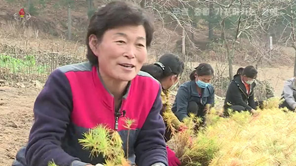 [평양 핫라인] '임업법' 제정한 북한, 산림복구 사업 강조
