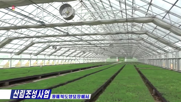 [평양 핫라인] '임업법' 제정한 북한, 산림복구 사업 강조