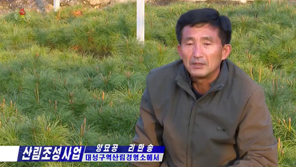 [평양 핫라인] '임업법' 제정한 북한, 산림복구 사업 강조