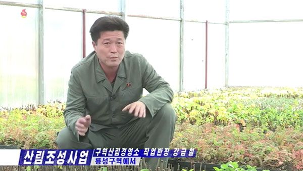 [평양 핫라인] '임업법' 제정한 북한, 산림복구 사업 강조