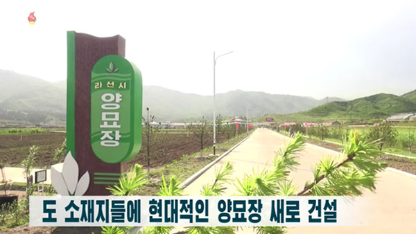 [평양 핫라인] '임업법' 제정한 북한, 산림복구 사업 강조