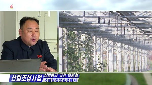 [평양 핫라인] '임업법' 제정한 북한, 산림복구 사업 강조