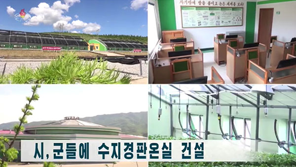 [평양 핫라인] '임업법' 제정한 북한, 산림복구 사업 강조