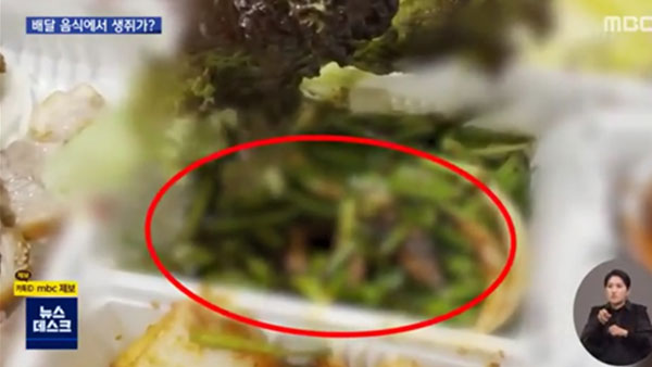 [탐정M] "네가 왜 거기서 나와"‥‘족발 쥐’ 사건 취재 후기