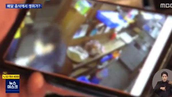 [탐정M] "네가 왜 거기서 나와"‥‘족발 쥐’ 사건 취재 후기