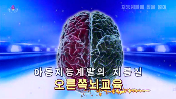 [평양 핫라인] 북TV판 '영재발굴단', 조기교육 강조