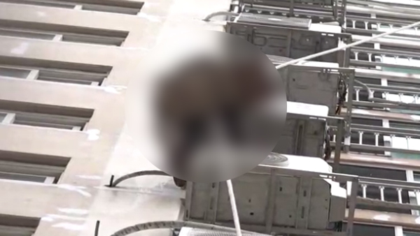 [탐정M] 1.8cm 밧줄에 목숨 건 '삼촌'들‥15층 지붕 직접 올라갔더니