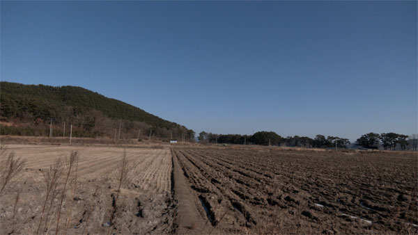 [평양핫라인] 볼음도를 아십니까?