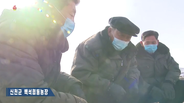 [평양핫라인] 10년 농업진흥계획의 시작‥농사차비 독려에 총력