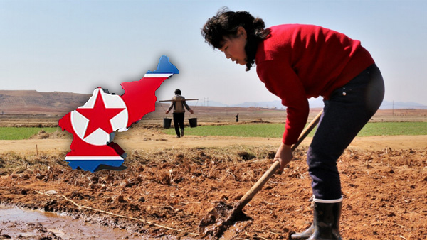 [평양핫라인] 10년 농업진흥계획의 시작‥농사차비 독려에 총력