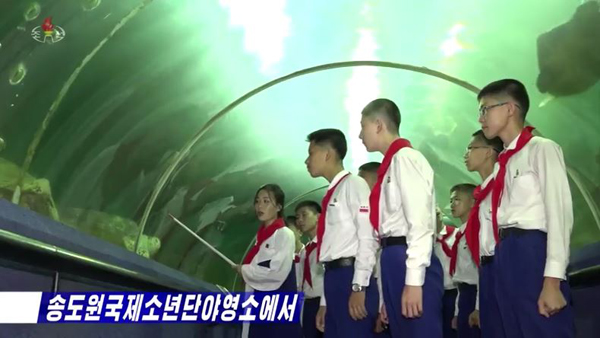 평양 핫라인  북한이 어린이 관련 프로그램을 늘린 이유