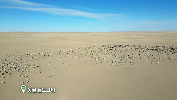 모래가 삼키는 황사의 나라, 한반도까지 위협하는 사막의 습격