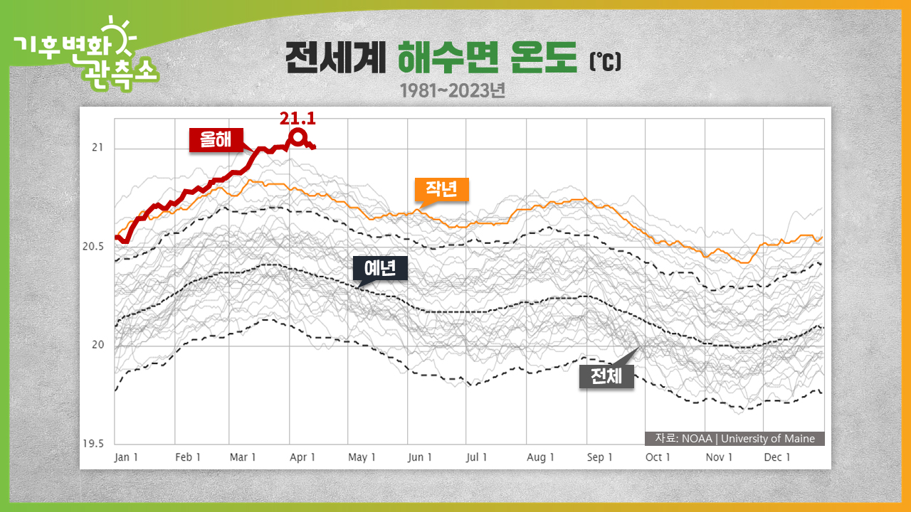 [기후변화관측소] 바닷물 온도 최고치 돌파, 엘니뇨 주의보에 기온 급상승 우려