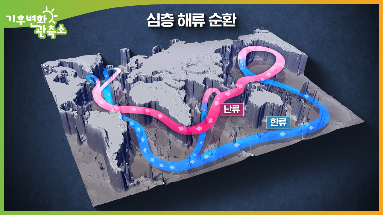 [기후변화관측소] 바닷물 온도 최고치 돌파, 엘니뇨 주의보에 기온 급상승 우려