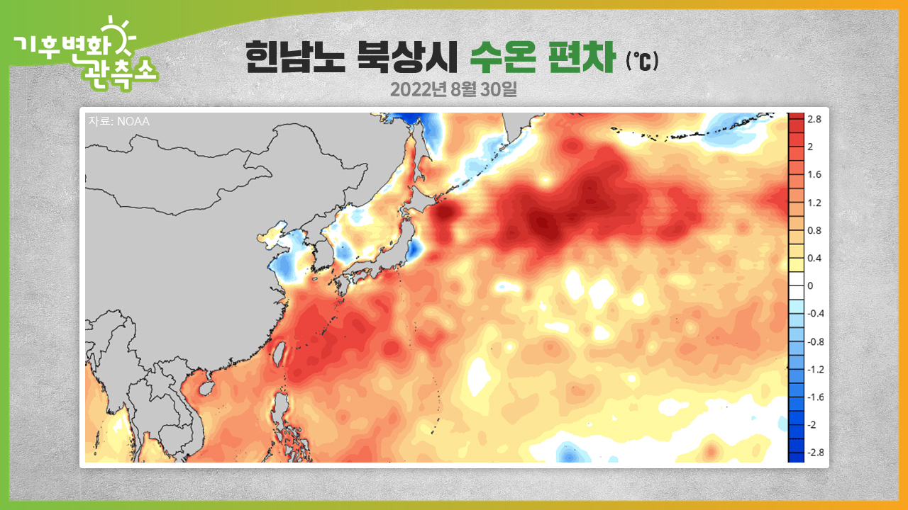 [기후변화관측소] 바닷물 온도 최고치 돌파, 엘니뇨 주의보에 기온 급상승 우려