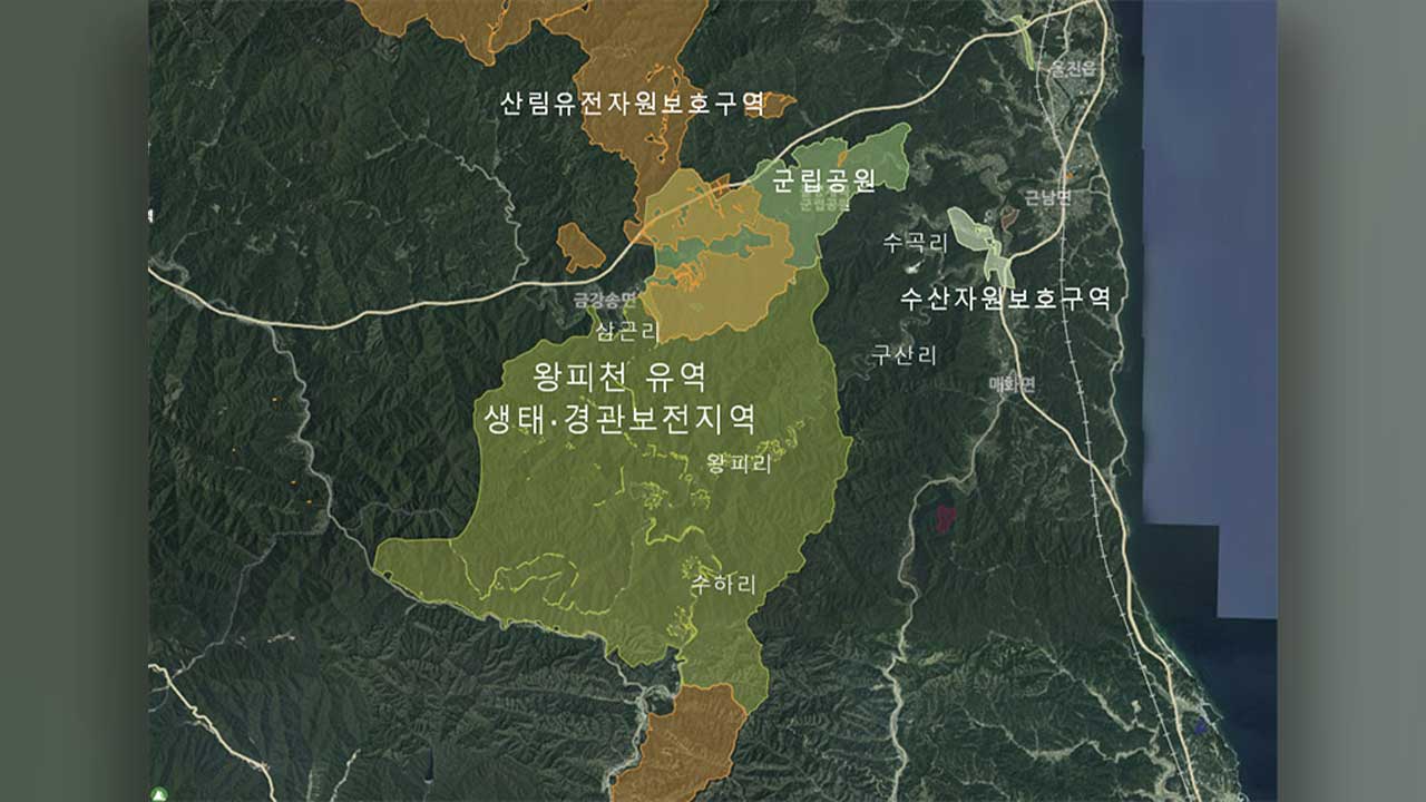 바카라사이트 카지노판감시원 사라진 왕피천 보호지역 1년‥"이대로는 못 지킨다"