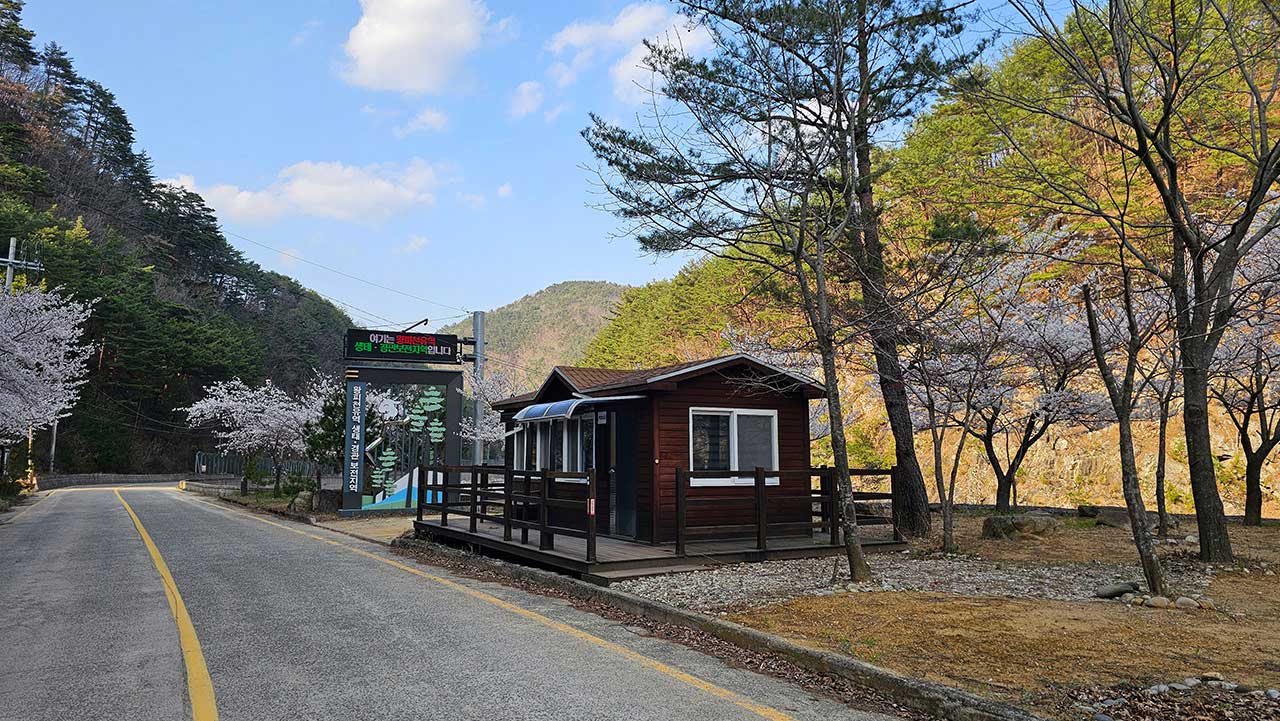 바카라사이트 카지노판감시원 사라진 왕피천 보호지역 1년‥"이대로는 못 지킨다"