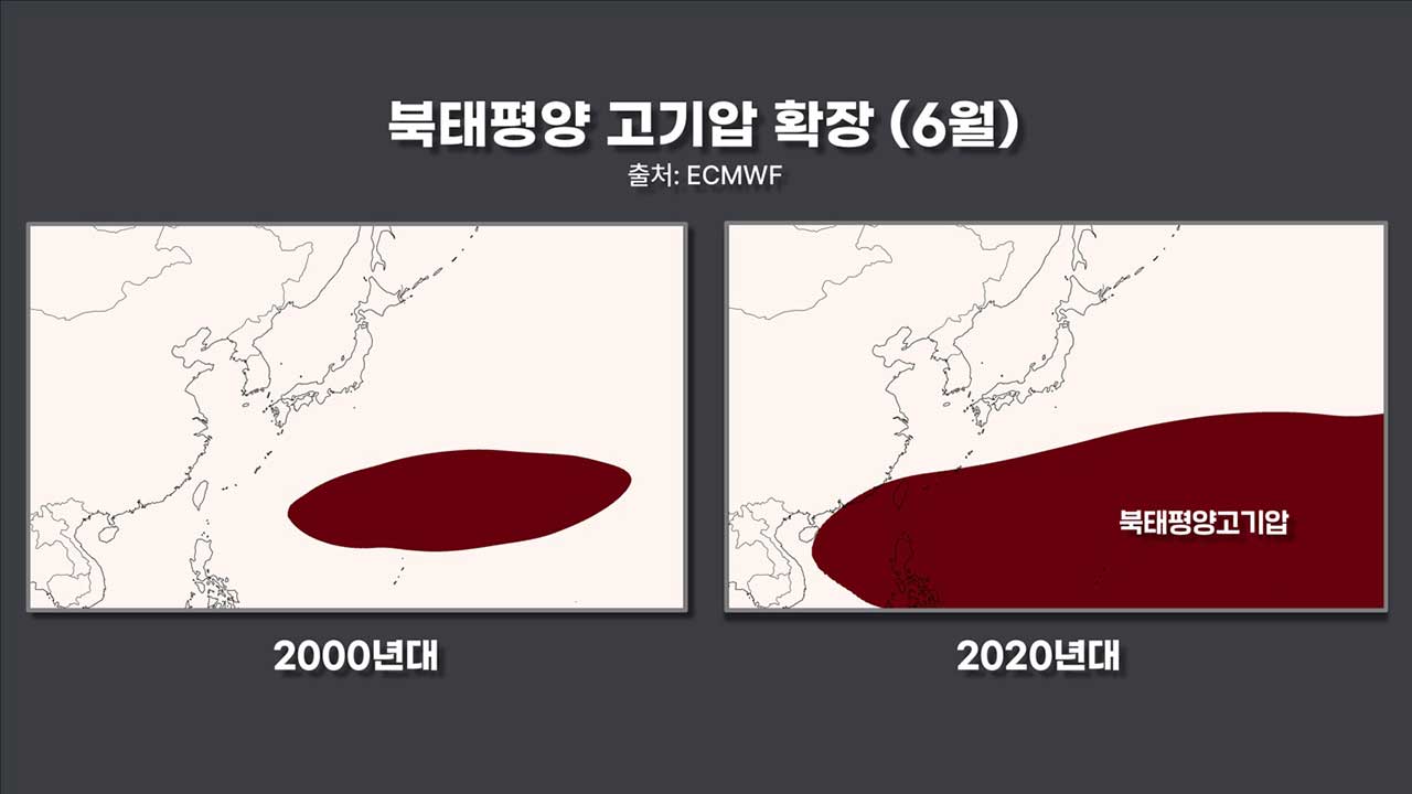 [인싸M] 올여름은 왜 이런가? 40도 폭염과 800mm 폭우의 습격 |기후인사이트 3 