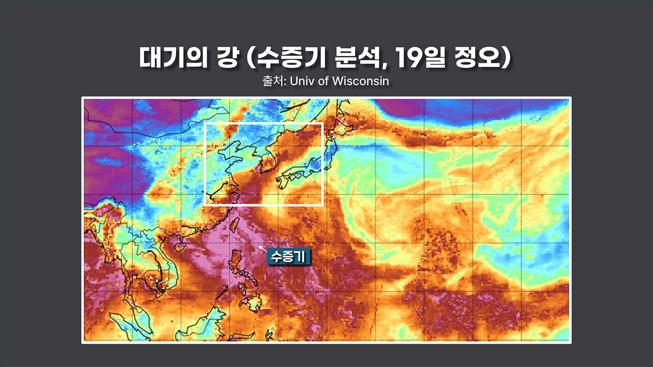 [인싸M] 올여름은 왜 이런가? 40도 폭염과 800mm 폭우의 습격 |기후인사이트 3 