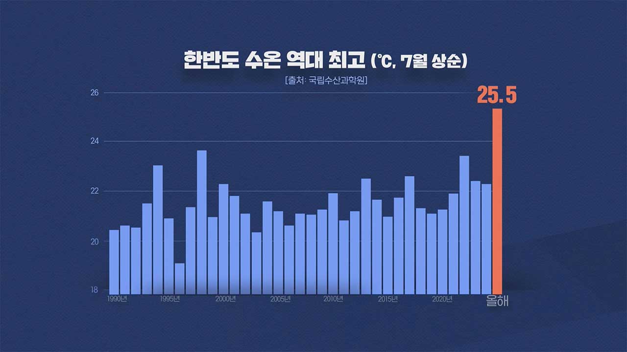 [인싸M] 올여름은 왜 이런가? 40도 폭염과 800mm 폭우의 습격 |기후인사이트 3 