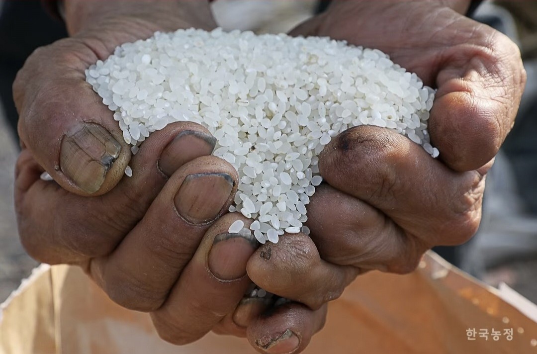 [국회M부스] "노란봉투법 후퇴 안돼", "농민 희생 안돼"‥진보당의 당당한 소수 의견 