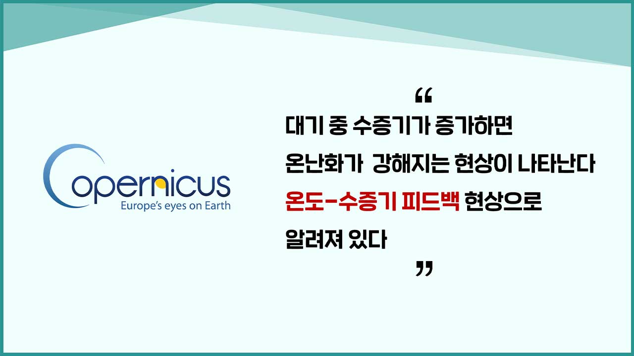 [인싸M] 극한 폭염과 폭우의 숨은 배후, 기온-수증기 증폭작용 | 기후인사이트 4