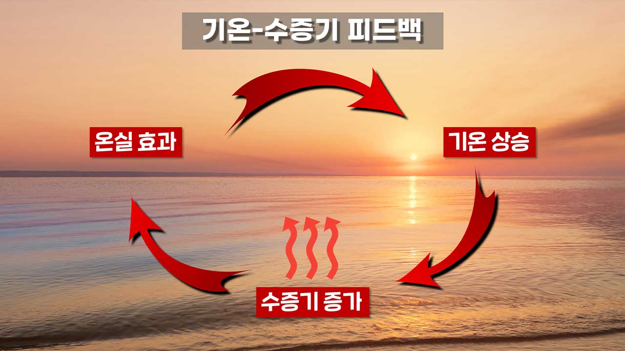 [인싸M] 극한 폭염과 폭우의 숨은 배후, 기온-수증기 증폭작용 | 기후인사이트 4