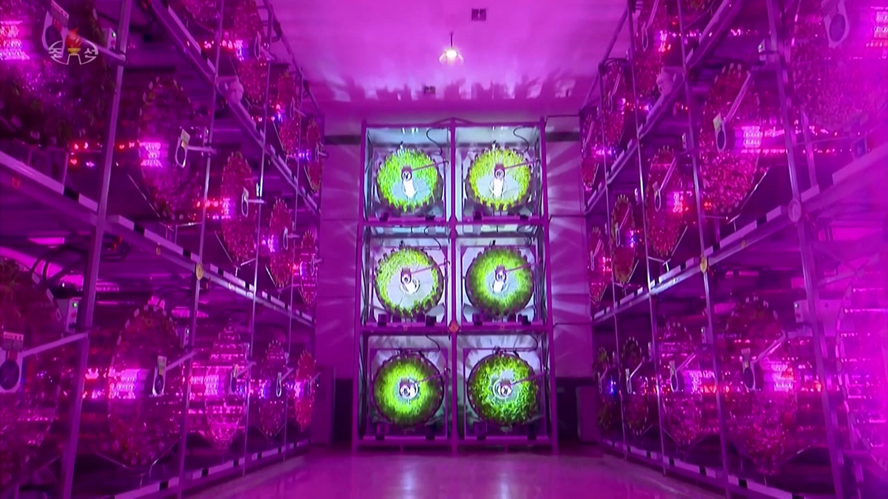 [인싸M] 북한 공군 비행장이 사라진다? "온실농장 지어라"