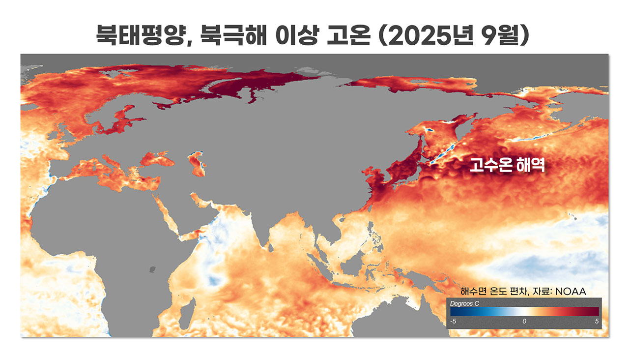 [인싸M] 10월 중순인데 가을 우기에 열대야까지. 이상한 10월 날씨, 왜? | 기후인사이트 11