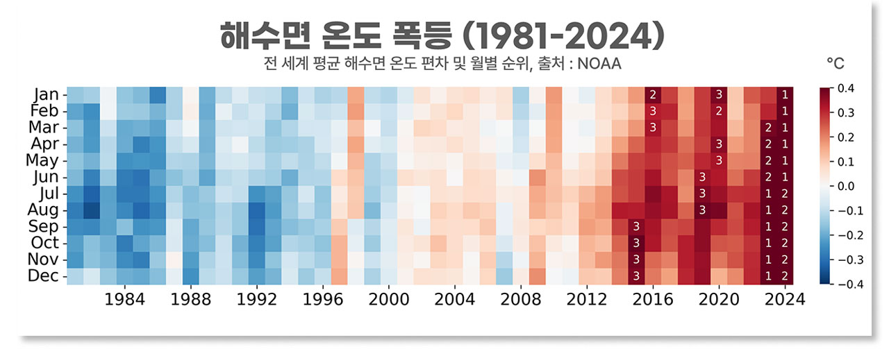 [인싸M] 4차 전 세계 산호 대백화 강타, "첫 번째 회복불능점 도달" | 기후인사이트 12