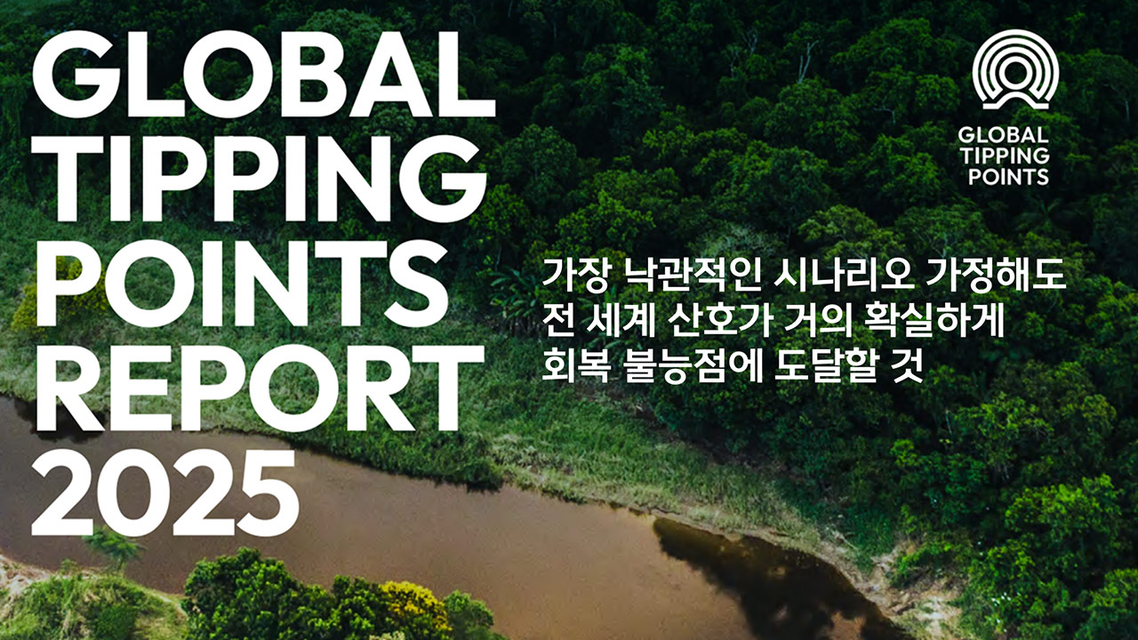 [인싸M] 4차 전 세계 산호 대백화 강타, "첫 번째 회복불능점 도달" | 기후인사이트 12