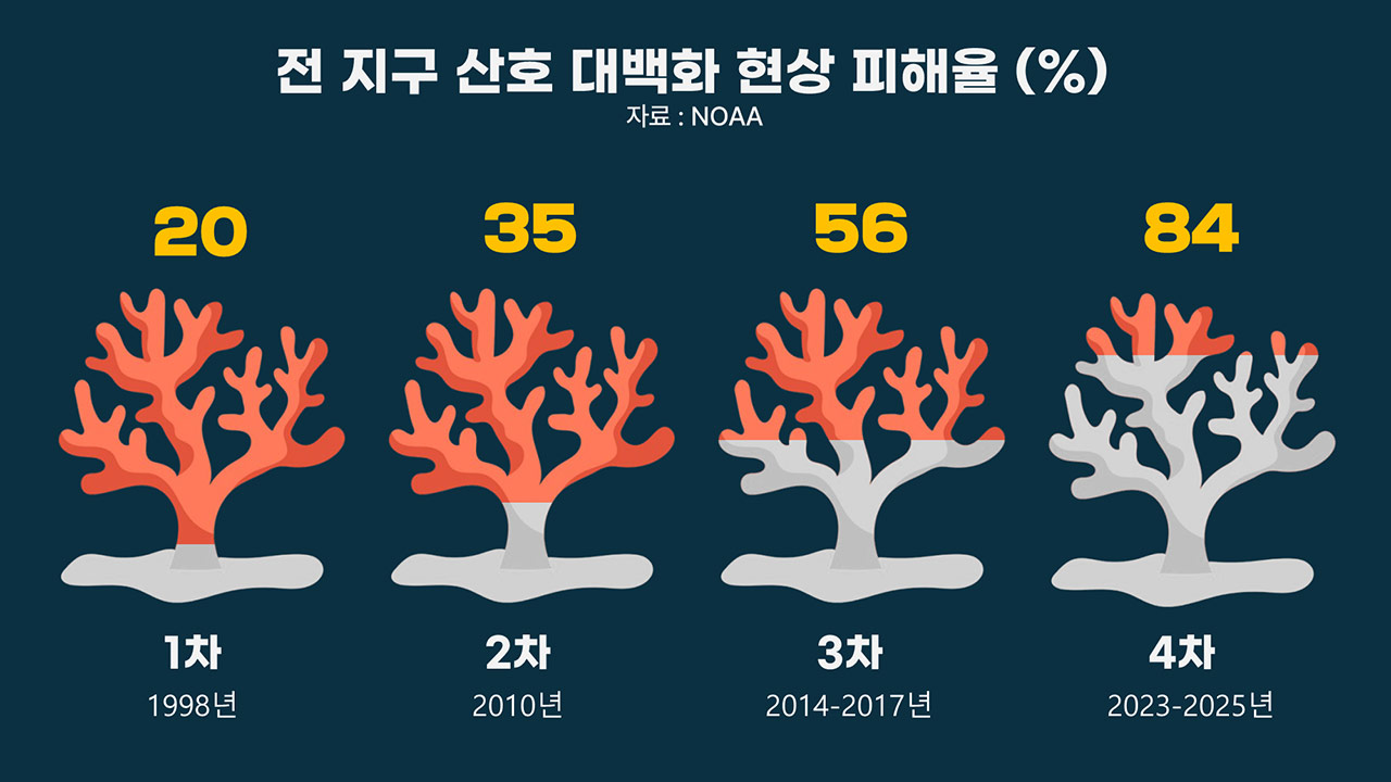 [인싸M] 4차 지구 대백화 강타 2, 압도적 파괴력에 '티핑 포인트' 경보 | 기후인사이트 13