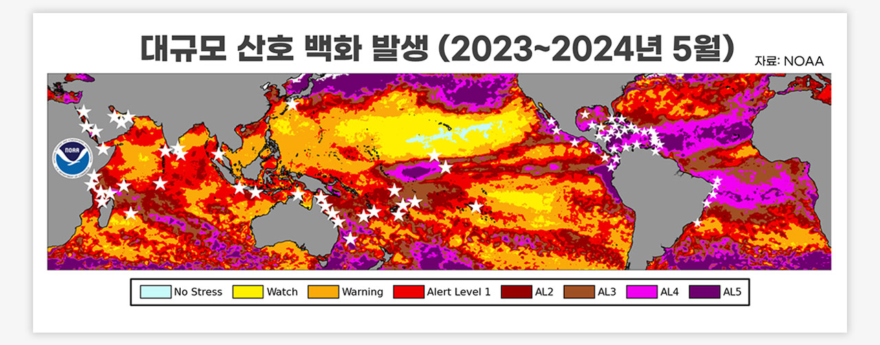 [인싸M] 4차 지구 대백화 강타 2, 압도적 파괴력에 '티핑 포인트' 경보 | 기후인사이트 13