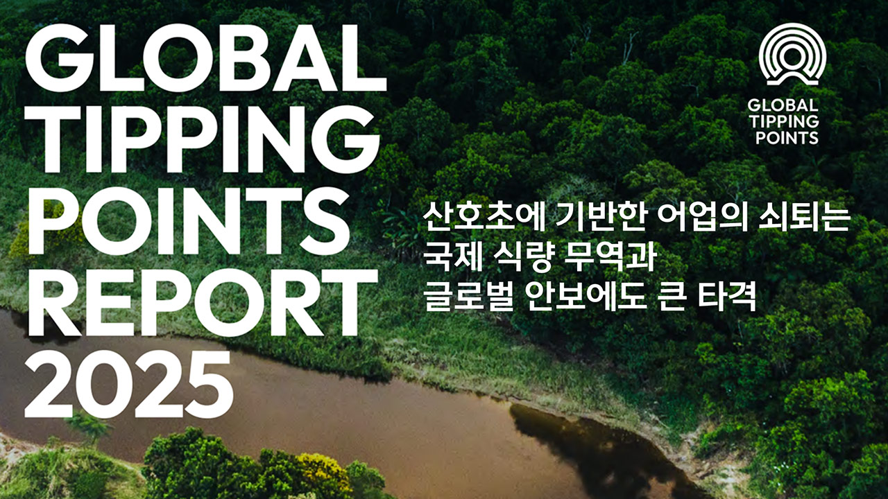 [인싸M] 4차 지구 대백화 강타 2, 압도적 파괴력에 '티핑 포인트' 경보 | 기후인사이트 13