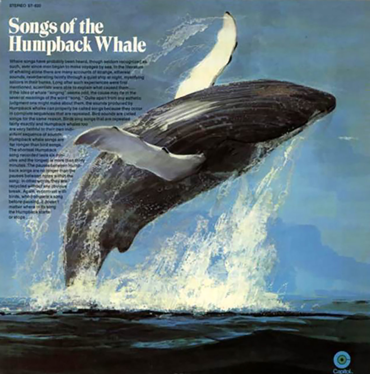 [인싸M] AI가 풀어낸 '고래의 말'‥그리고 노상원의 '법정 짜증'