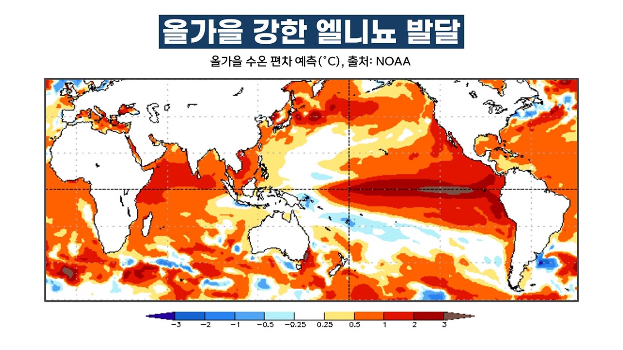 강력한 엘니뇨 발달 시작 "1.5도 저지선 붕괴 카운트다운"  [기후인사이트 25 | 인싸M]